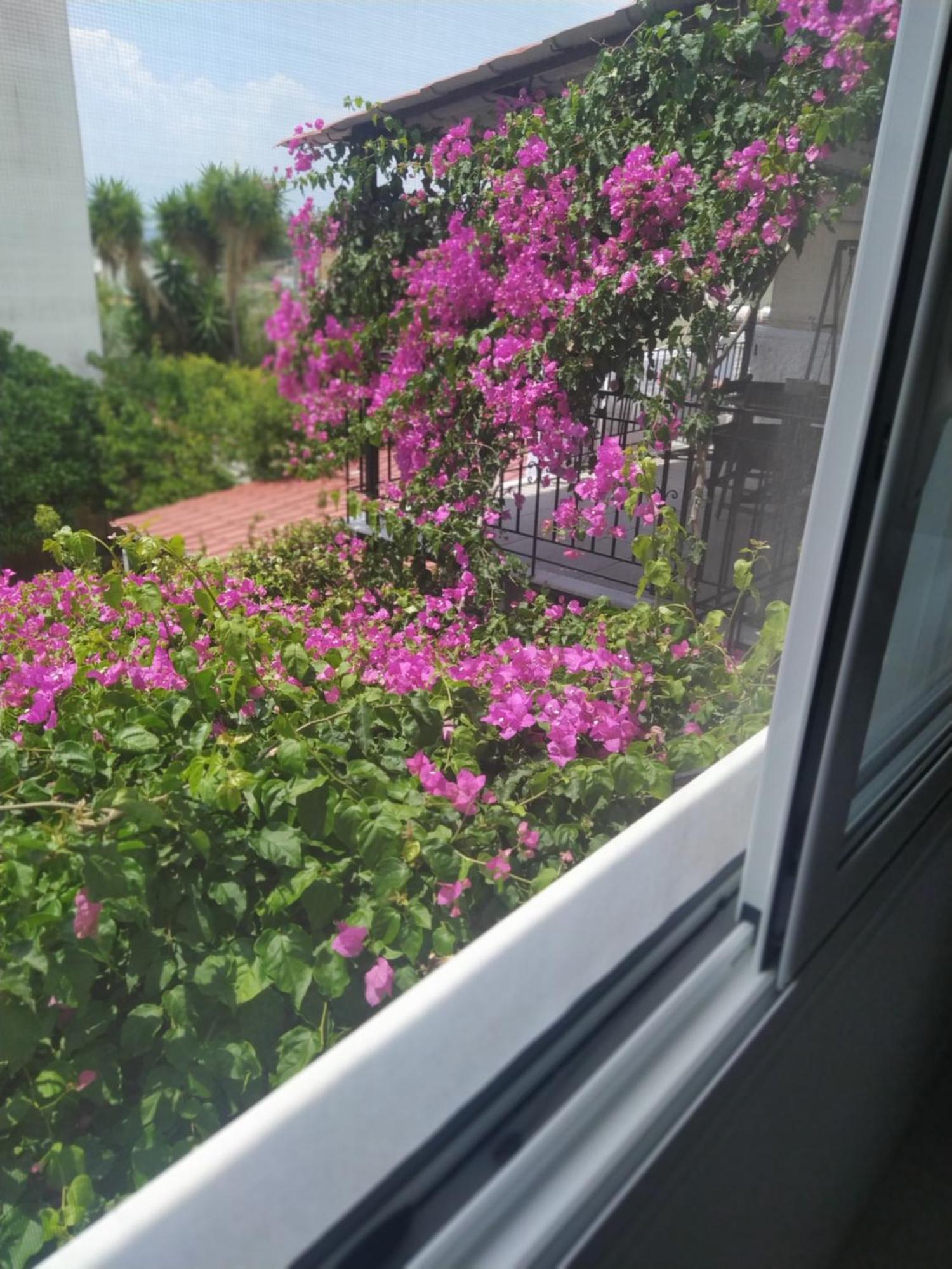 Kritharia Guesthouse Volos エクステリア 写真